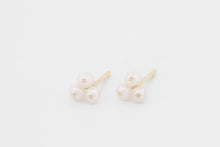 Afbeelding in Gallery-weergave laden, Oorstekers IJskristal, geelgoud