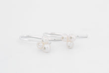 Afbeelding in Gallery-weergave laden, Oorhangers IJskristal, zilver