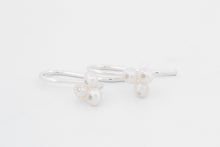 Afbeelding in Gallery-weergave laden, Oorhangers IJskristal, zilver