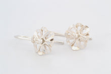 Afbeelding in Gallery-weergave laden, Oorhangers Klaver, zilver