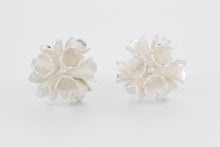 Afbeelding in Gallery-weergave laden, Oorstekers Dot, zilver