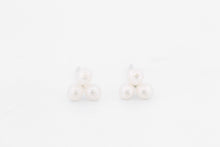 Afbeelding in Gallery-weergave laden, Oorstekers IJskristal, zilver