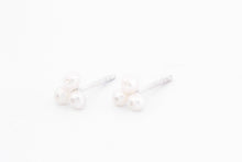 Afbeelding in Gallery-weergave laden, Oorstekers IJskristal, zilver