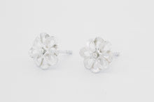 Afbeelding in Gallery-weergave laden, Oorstekers Klaver, zilver